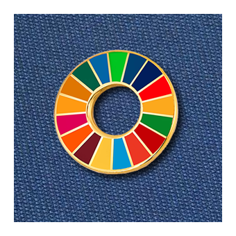 SDGs