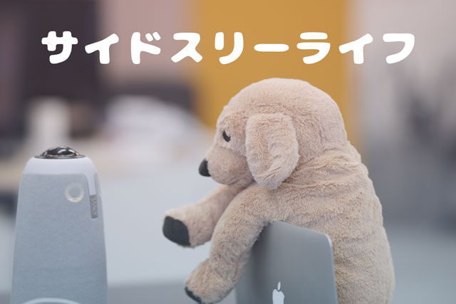 
                新入社員ほーりーのサイドスリーライフ
                