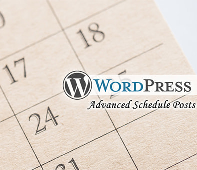 
                公開終了日を設定できるWPプラグイン「Advanced Schedule Posts」のご紹介
                