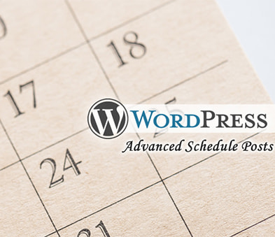 
                公開終了日を設定できるWPプラグイン「Advanced Schedule Posts」のご紹介
                