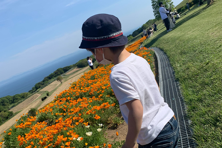 花畑を歩く息子
