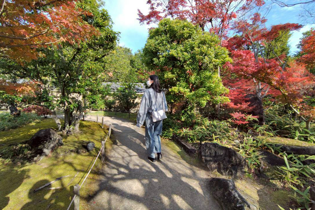 公園