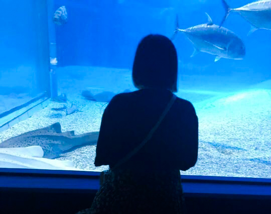 水族館の写真