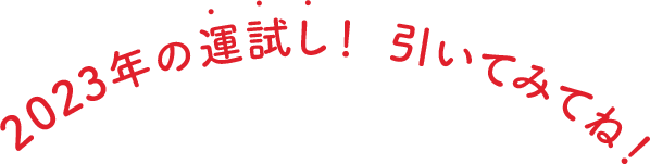 2023年の運試し！引いてみてね！