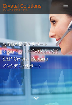 SAP Crystal Solutions（株式会社リオス）様
